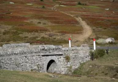 Mt lozere